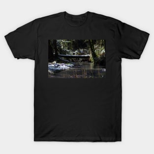 snowy Oregon forest , Fox Creek 5 T-Shirt